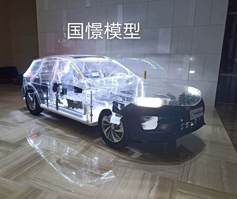 金平透明车模型